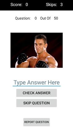 Name The Wrestler - Screenshot 2