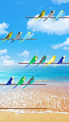 Bird Sort Puzzle Birds Sorting - Screenshot 3