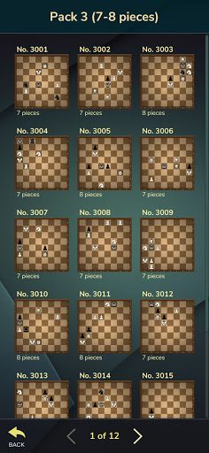 Chess Riddles Deluxe - Screenshot 3