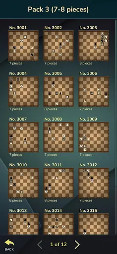 Chess Riddles Deluxe - Screenshot 3