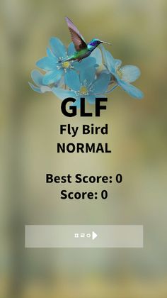 GLF Flying Bird - Screenshot 1
