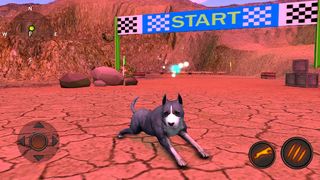 AmStaffs Dog Simulator - Screenshot 2