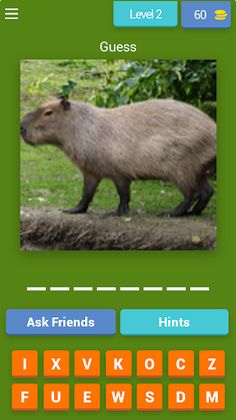 Jungle Jumble Word - Screenshot 4