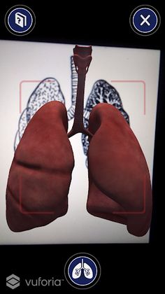 Healthy Lungs AR - Screenshot 2