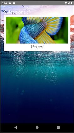 Rompecabezas de Peces - Screenshot 1