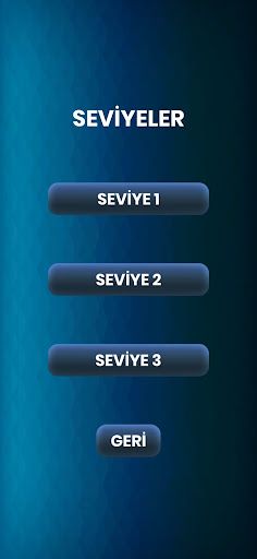 Mr. Çarpma - Screenshot 2