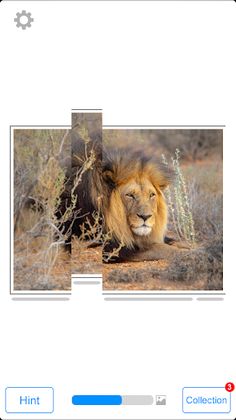 Shredded Puzzle - Screenshot 4