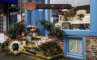 Find a Cat 2 - Hidden Object - Screenshot 1