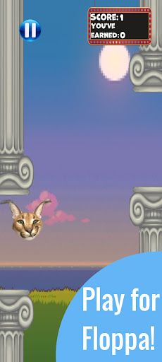 Flappy Floppa - Screenshot 2