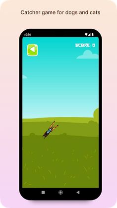 Catcher Game For Dogs & Cats - Screenshot 2