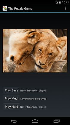 The Puzzle Game - Screenshot 2