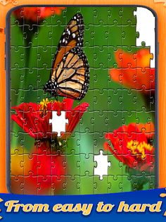 Butterfly jigsaw puzzle - Screenshot 4