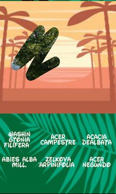 Trees, which one is hiding - Screenshot 3