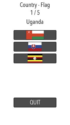 Flag Check - Screenshot 4