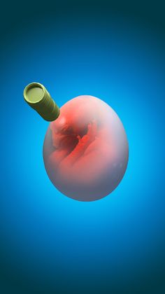 Hatching Master - Screenshot 3