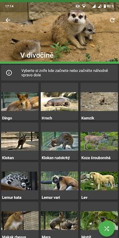 Co je to za zvíře - Screenshot 2