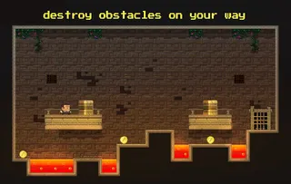 Debtor - Screenshot 3