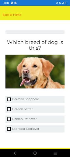 Dog quiz - identify the breeds - Screenshot 2