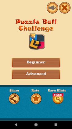 Puzzle Ball Challenge - Screenshot 1