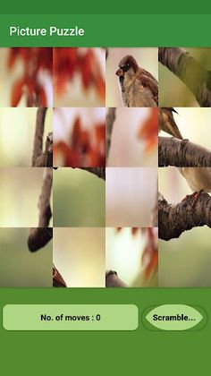 Picture Puzzle - Screenshot 4