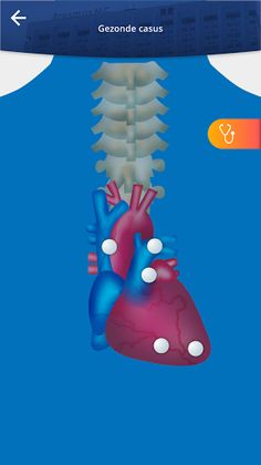 The Clinical Challenge - Screenshot 4