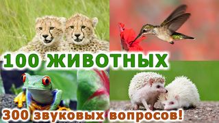 Животные для детей и малышей - Screenshot 1