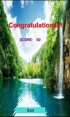 Bingo - Screenshot 3