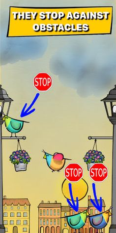 Pigeons Stop: Stop the pigeons - Screenshot 2