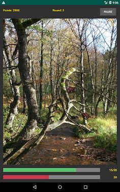 Catch the Fossa - Screenshot 4