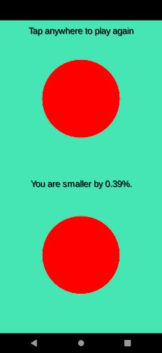 Match the Size - Screenshot 4