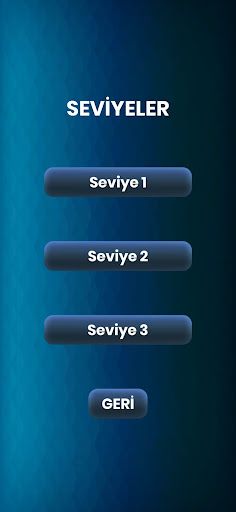 Mr. Bölme - Screenshot 2