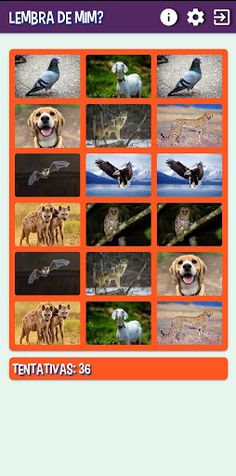 Sons De Animais - Screenshot 4