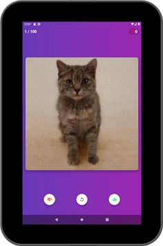 Swipe the Kitten - Screenshot 3