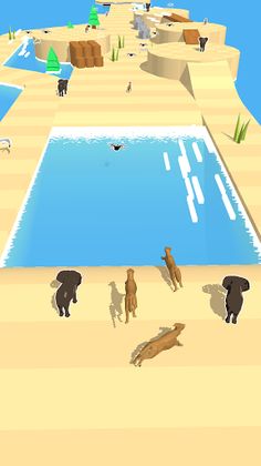 Wild Race 3D - Screenshot 3