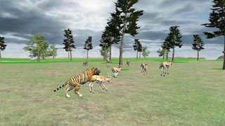 Angry Wild Tiger Attack Sim 3D - Screenshot 1