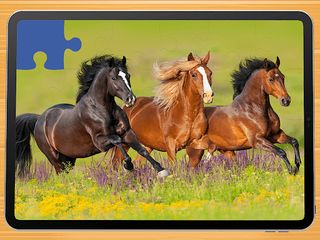 Horse puzzle game PRO - Screenshot 2