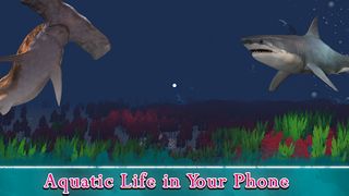 VR Ocean Aquarium 3D - Screenshot 1