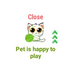 Sporty Pet - Screenshot 4