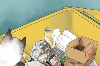 manee the cat - Screenshot 1