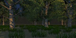 CycloFit: Forest - Screenshot 2