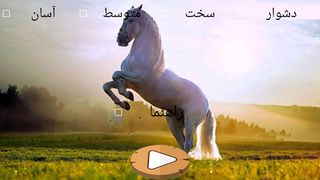 پازل اسب وحشی - Screenshot 3