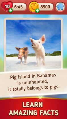 Quiz The Road: Guess country b - Screenshot 3