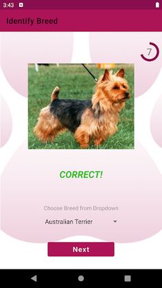 Doggo Match - Screenshot 2