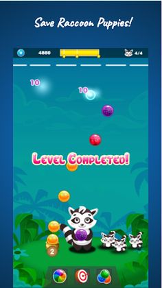Raccoon Saver - Screenshot 1