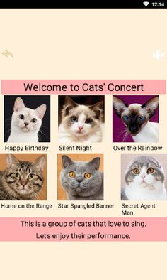 Cat&U - Screenshot 2