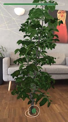 Kosmos Kaffee AR - Screenshot 1