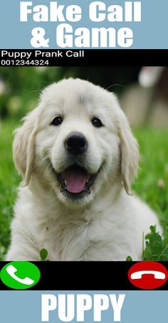 Fake Call Puppy Game - Screenshot 4