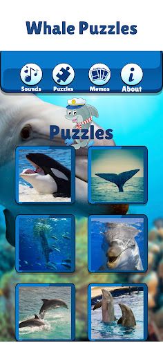 Fun Dolphin Show Game For Kids - Screenshot 3