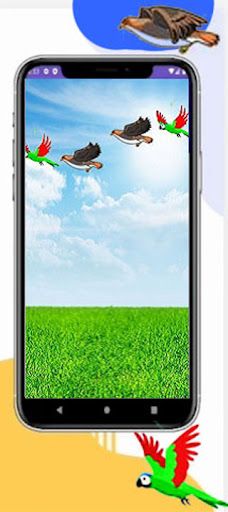 Rakhine Bird Shot - Screenshot 2