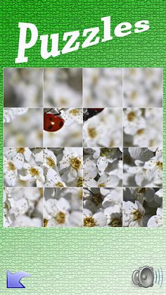 Puzzle - Screenshot 4